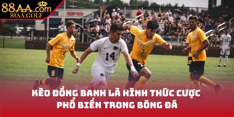 Kèo đồng banh là hình thức cược phổ biến trong bóng đá