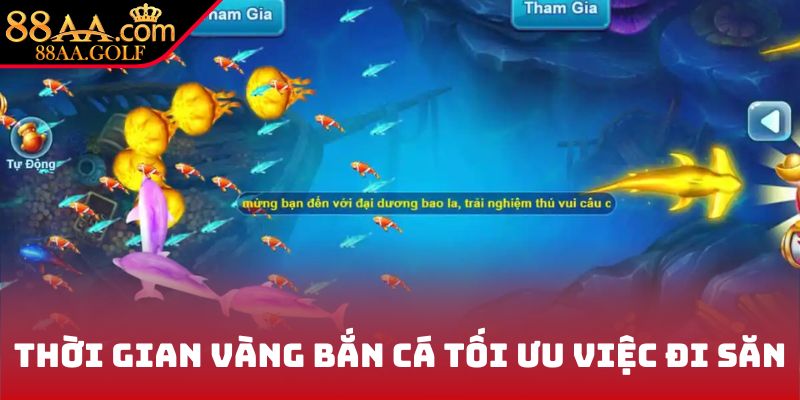 Thời gian vàng bắn cá tối ưu việc đi săn